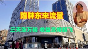 蹭胖东来流量,三天涨万粉,收益直接起飞-风淘社