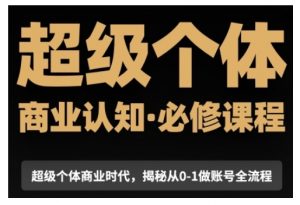 超级个体商业认知觉醒视频课,商业认知·必修课程揭秘从0-1账号全流程-风淘社