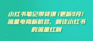 小红书笔记带货课(更新25年1月)流量电商新机会,抓住小红书的流量红利-风淘社