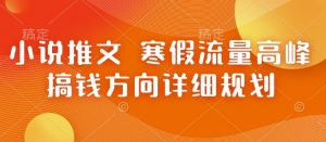 小说推文 寒假流量高峰 搞钱方向详细规划-风淘社