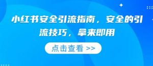 小红书安全引流指南,安全的引流技巧,拿来即用-风淘社