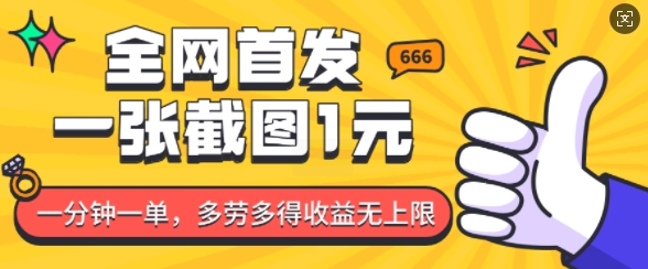 全网首发,一张截图1块钱,一分钟一单,多劳多得,收益无上限-风淘社