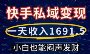 一天收入1691.5,快手私域变现,小白也能闷声发财-风淘社