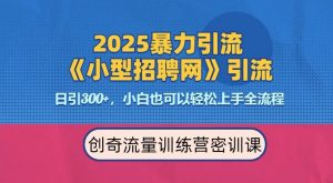 2025最新暴力引流方法,招聘平台一天引流300+,日变现多张,专业人士力荐-风淘社