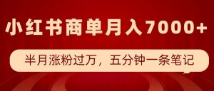 小红书商单最新玩法,半个月涨粉过万,五分钟一条笔记,月入7000+-风淘社