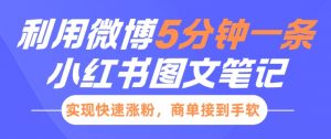 小红书利用微博5分钟一条图文笔记,实现快速涨粉,商单接到手软-风淘社