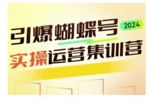 引爆蝴蝶号实操运营,助力你深度掌握蝴蝶号运营,实现高效实操,开启流量变现之路-风淘社