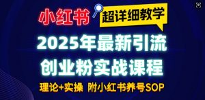 2025年最新小红书引流创业粉实战课程【超详细教学】小白轻松上手,月入1W+,附小红书养号SOP-风淘社