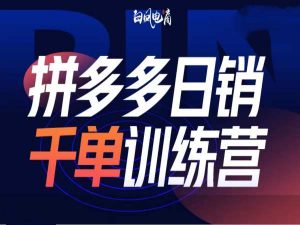 拼多多日销千单训练营第32期，2025开年变化和最新玩法-风淘社