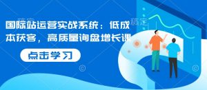 国际站运营实战系统:低成本获客,高质量询盘增长课-风淘社