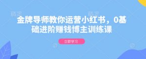 金牌导师教你运营小红书,0基础进阶赚钱博主训练课-风淘社