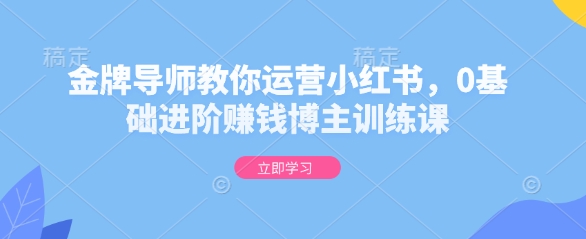 金牌导师教你运营小红书,0基础进阶赚钱博主训练课-风淘社
