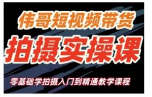 短视频带货拍摄实操课,零基础学拍摄入门到精通教学-风淘社