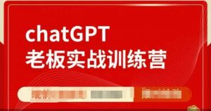 ChatGPT老板实战训练营,用GPT带飞,一人顶一个团队-风淘社
