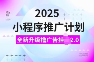 2025小程序推广计划,全新升级撸广告挂JI2.0玩法,日入多张,小白可做【揭秘】-风淘社