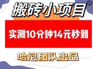 搬砖小项目,实测10分钟14元秒到,每天稳定几张(赠送必看稳定)-风淘社