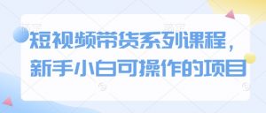 短视频带货系列课程,新手小白可操作的项目-风淘社