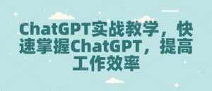 ChatGPT实战教学,快速掌握ChatGPT,提高工作效率-风淘社
