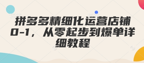 拼多多精细化运营店铺0-1,从零起步到爆单详细教程-风淘社