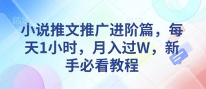小说推文推广进阶篇，每天1小时，月入过W，新手必看教程-风淘社