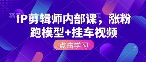 IP剪辑师内部课,涨粉跑模型+挂车视频-风淘社