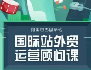 国际站运营顾问系列课程,一套完整的运营思路和逻辑-风淘社