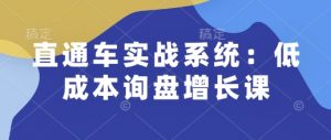 直通车实战系统:低成本询盘增长课,让个人通过技能实现升职加薪,让企业低成本获客,订单源源不断-风淘社