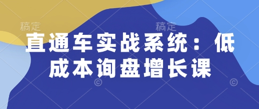 直通车实战系统:低成本询盘增长课,让个人通过技能实现升职加薪,让企业低成本获客,订单源源不断-风淘社