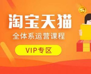 淘宝天猫全体系运营课程：店铺全系运营、动销玩法、付费推广、流量提升、擦边球玩法等等-风淘社