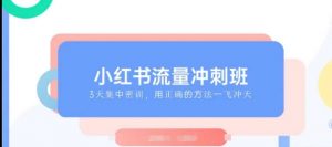 小红书流量冲刺班2025，最懂小红书的女人，快速教你2025年入局小红书-风淘社