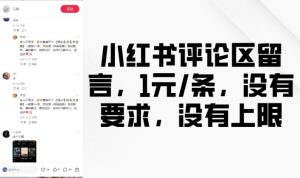 小红书评论区留言,1元条,没有要求,没有上限-风淘社