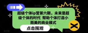 超级个体ip营第六期,未来是超级个体的时代 帮助个体打造小而美的商业模式-风淘社