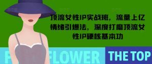 顶流女性IP实战班，流量上亿情绪引爆法，深度打磨顶流女性IP硬核基本功-风淘社
