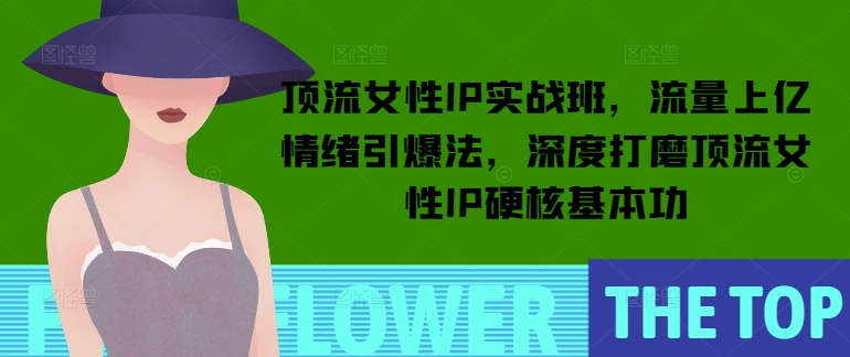 顶流女性IP实战班，流量上亿情绪引爆法，深度打磨顶流女性IP硬核基本功-风淘社