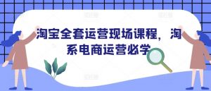 淘宝全套运营现场课程,淘系电商运营必学-风淘社