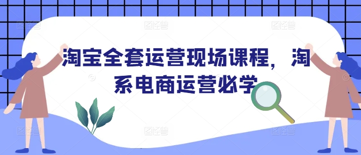 淘宝全套运营现场课程,淘系电商运营必学-风淘社
