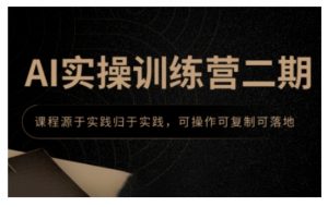 AI实操训练营二期，课程源于实践归于实践，可操作可复制可落地-风淘社