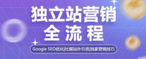 独立站营销全流程,Google SEO优化,社媒站外引流,独家营销技巧-风淘社