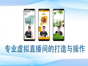 个人虚拟直播间的搭建与操作,专业虚拟直播间的打造与操作-风淘社