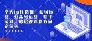 个人ip打造课,私域运营,公众号运营,知乎运营,底层逻辑和方向定位等-风淘社