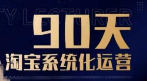 90天淘宝系统化运营,从入门到精通-风淘社
