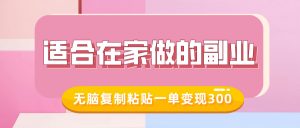 适合在家做的副业，小红书冷知识账号，无脑复制粘贴一单变现300-风淘社