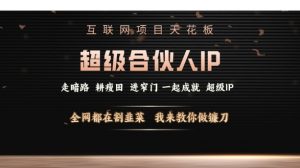 互联网项目天花板，超级合伙人IP，全网都在割韭菜，我来教你做镰刀【仅揭秘】-风淘社