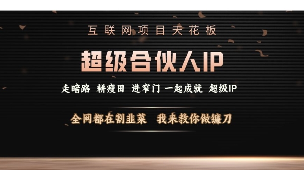 互联网项目天花板,超级合伙人IP,全网都在割韭菜,我来教你做镰刀【仅揭秘】-风淘社