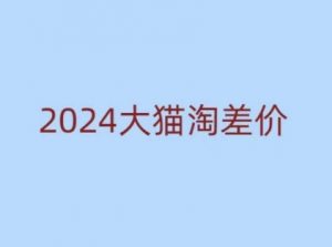 2024版大猫淘差价课程,新手也能学的无货源电商课程-风淘社