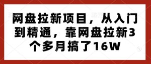 网盘拉新项目，从入门到精通，靠网盘拉新3个多月搞了16W-风淘社