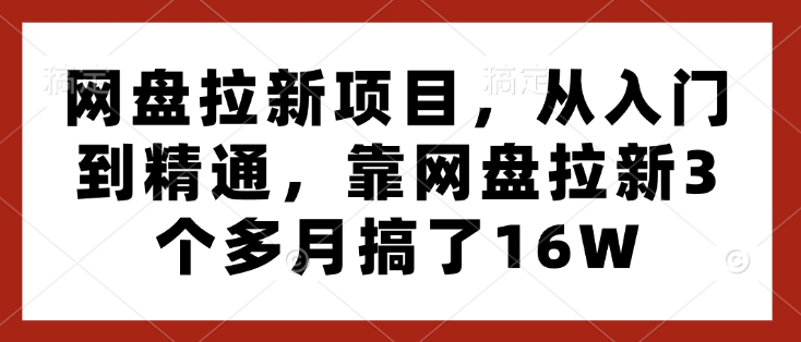 网盘拉新项目，从入门到精通，靠网盘拉新3个多月搞了16W-风淘社