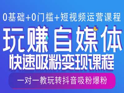 0基础+0门槛+短视频运营课程,玩赚自媒体快速吸粉变现课程,一对一教玩转抖音吸粉爆粉-风淘社