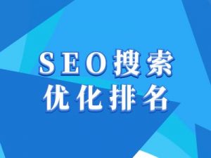 抖音搜索SEO教程,抖音SEO搜索优化排名-风淘社
