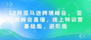 12月亚马逊跨境峰会, 亚马逊峰会直播,线上特训营基础版,进阶版-风淘社